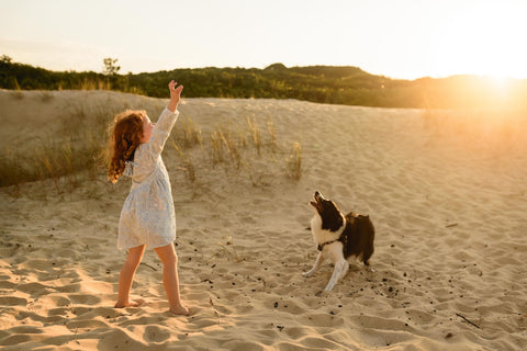 you and your pooch can spend even more time together.
