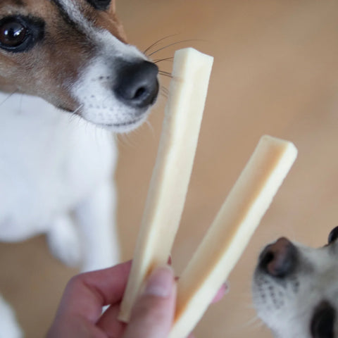 Cheese Bone