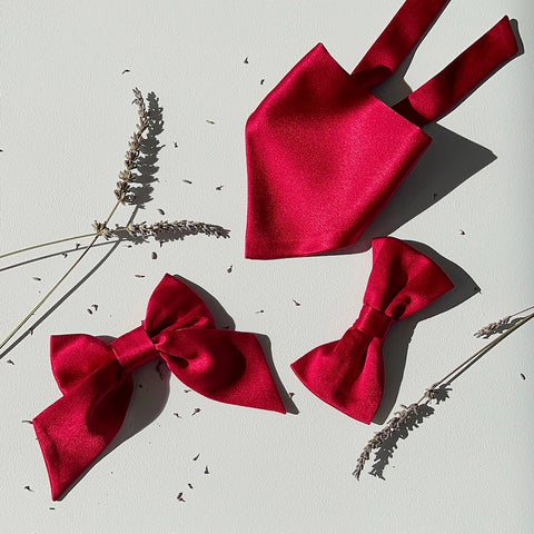 Silk Dog Bandana