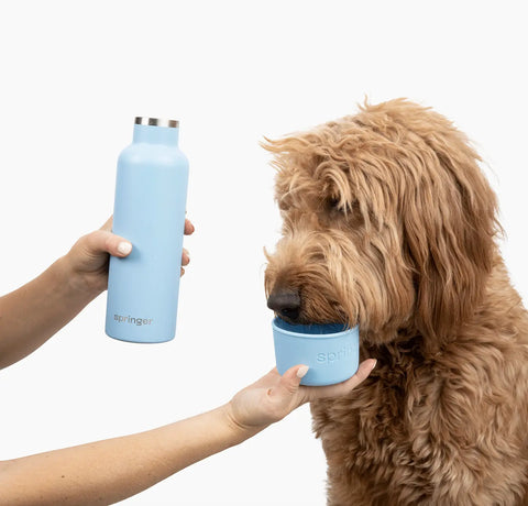 Dog & Me Water Bottle