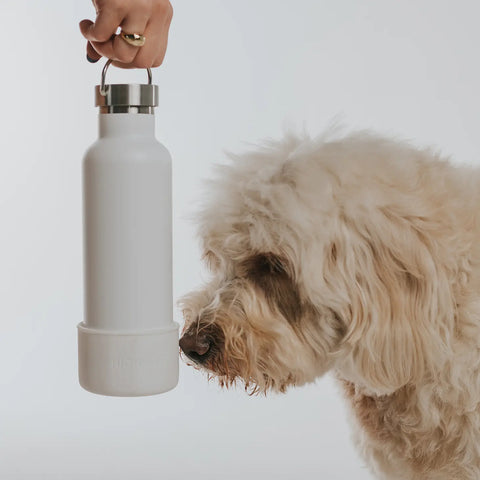 Dog & Me Water Bottle