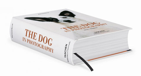 The Dog in Photography 1839–Today by Raymond Merritt